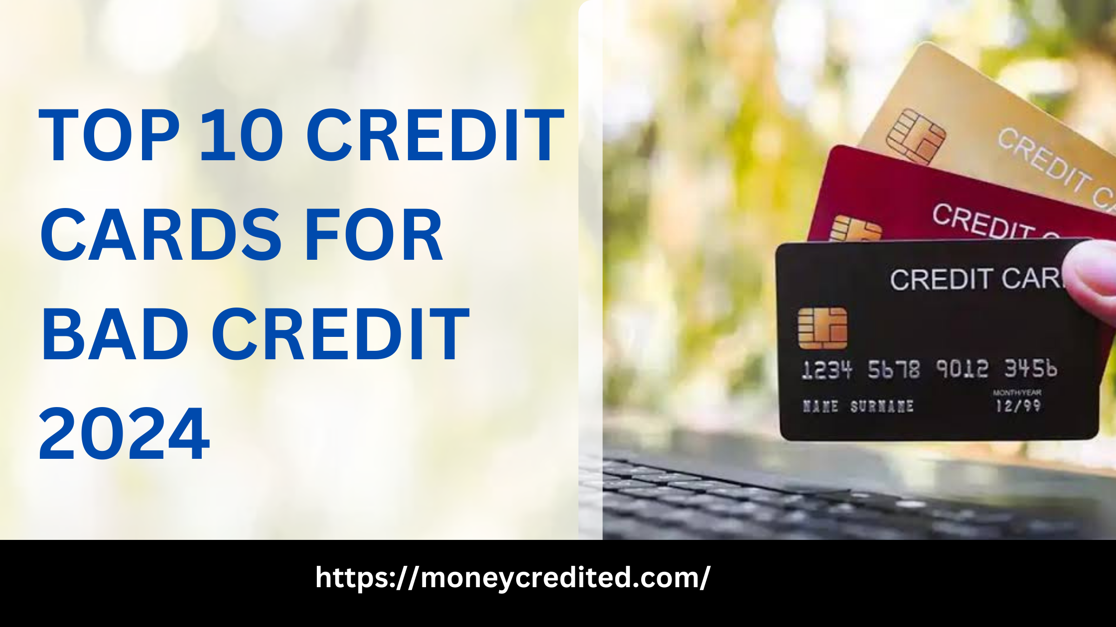 Top 10 Credit Cards for Bad Credit 2024